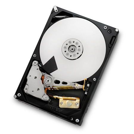Hitachi 4 TB Enterprise disk